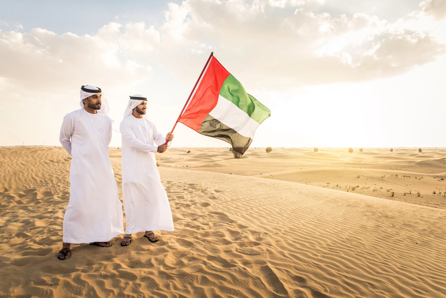 UAE Transplant Regulations and Shariah