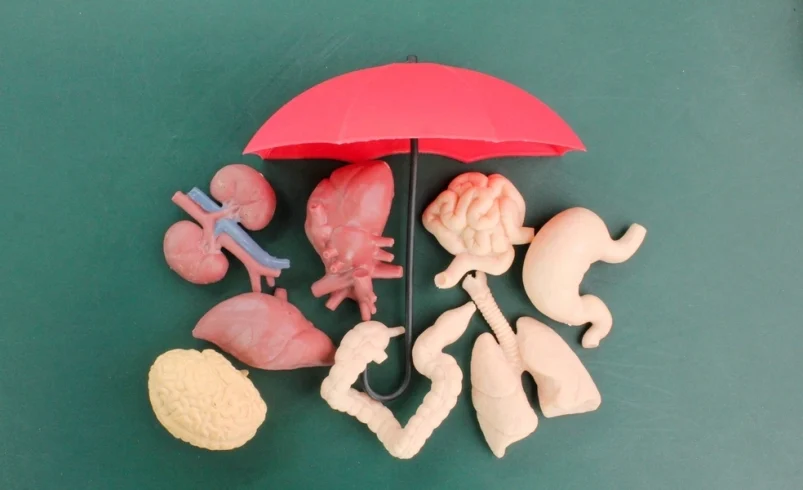 Why Organ Selling Is Haram in Islam