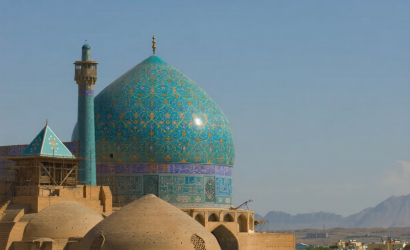 Organ Donation in Shia Fiqh